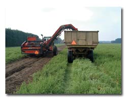 harvest