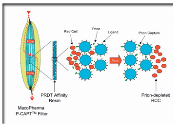 Medicalschematic
