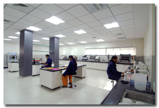 Sarexlab