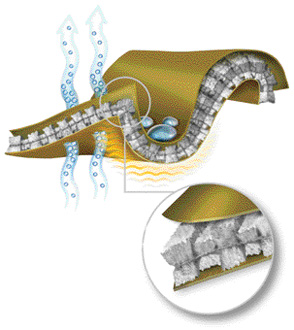 QFOMgraphic