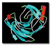 pectinase